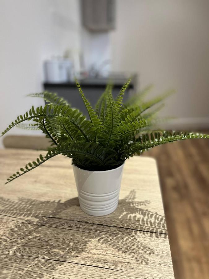 Sublime Stays Webberley Stylish Studio Stoke City Centre 외부 사진